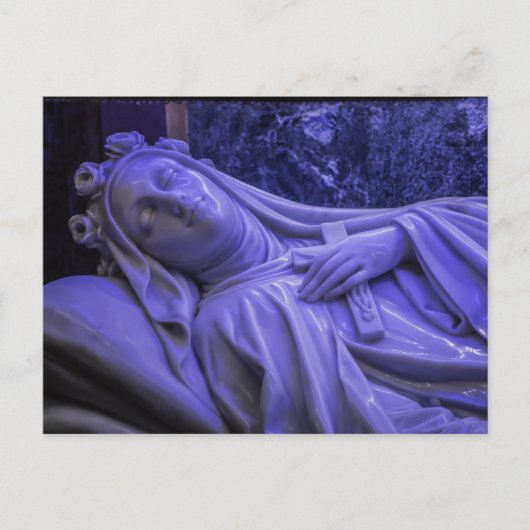 リシューのはがきサン・テリー ポストカード (正面)