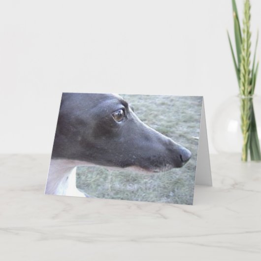 リジーズ・クローズアップ カード (正面)