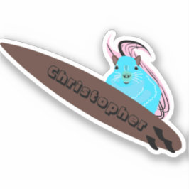 リスいけなル#160サーフィン シール