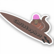 リスいけなル#174サーフィン