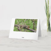 リスおもしろいは人生をより友情にする カード (裏面)