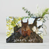 リスおもしろいクかわいい動物こんにちは シーズンカード (スタンド正面)