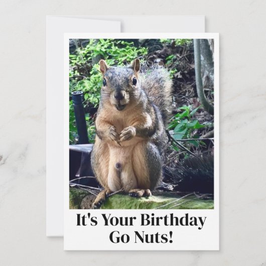 リスおもしろいルはナッツを行くあなたの誕生日カード (正面)