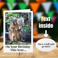リスおもしろいルナッツのジョーク大人のユーモア誕生日