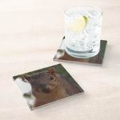 リスおもしろいル写真クローズアップ ガラスコースター (アングル)