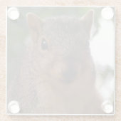 リスおもしろいル写真クローズアップ ガラスコースター (裏面)