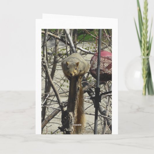 リスおもしろいル友情 カード (裏面)