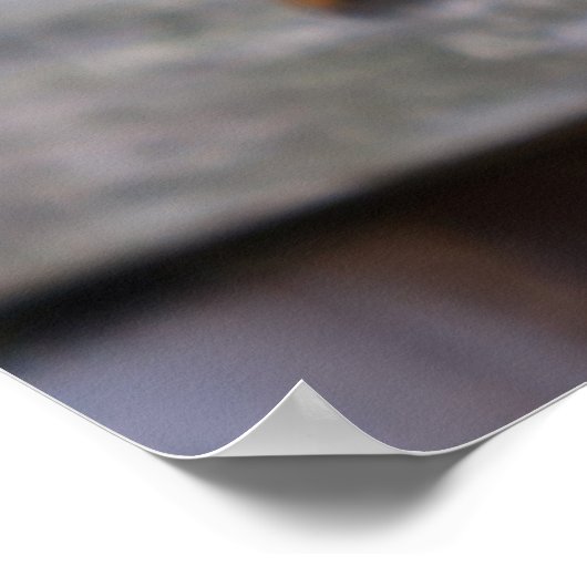 リスおもしろいル ポスター (角)