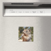 リスおもしろい風変わりルのタバコの喫煙者を膨らませる マグネット (インサイチュ (食洗機))