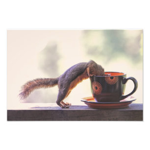 リスおよびコーヒーカップ フォトプリント           