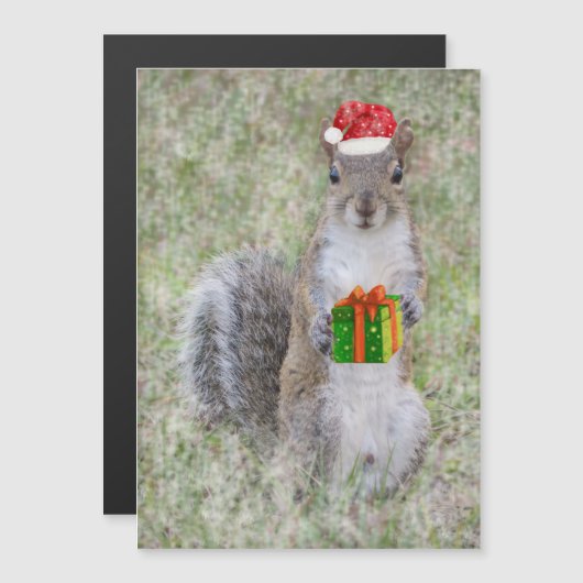 リスからのクリスマスプレゼント (正面/裏面)