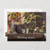 リスがおやつを食べているあなたを想うポストカード ポストカード (正面/裏面)