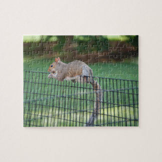リスがおやつを食べているよ ジグソーパズル 8" x 10" 110ピース