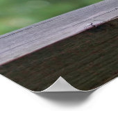 リスがハッピーアワーでカクテルを飲む ポスター (角)