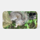 リスがピーナッツを食べている Case-Mate iPhoneケース (裏面(横))