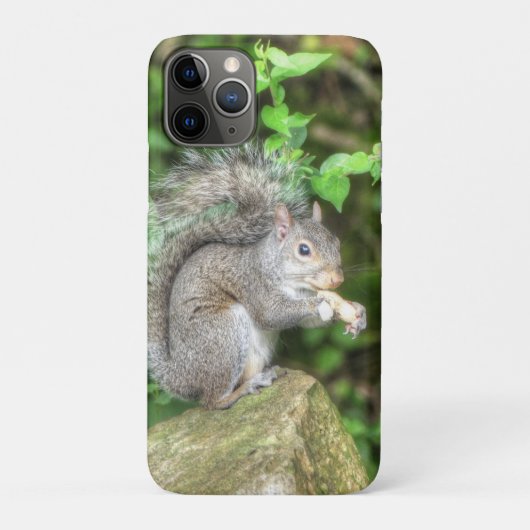 リスがピーナッツを食べている Case-Mate iPhoneケース (裏)