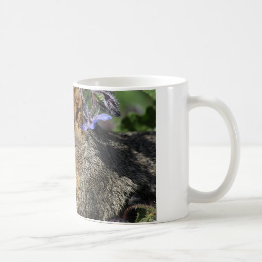 リスが付いているコーヒー・マグ コーヒーマグカップ (右)