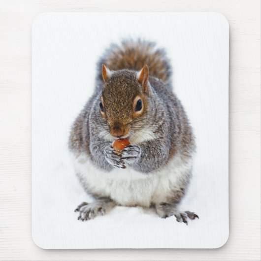 リスが木の実を食べる かわいい冬の写真 マウスパッド (正面)