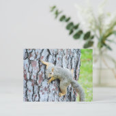 リスが木を這っている ポストカード (スタンド正面)