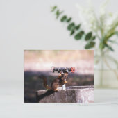 リスが水を飲む ポストカード (スタンド正面)