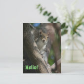 リスが見守る可愛いクローズアップ写真 ポストカード (スタンド正面)