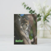 リスが見守る可愛いクローズアップ写真 ポストカード (スタンド正面)