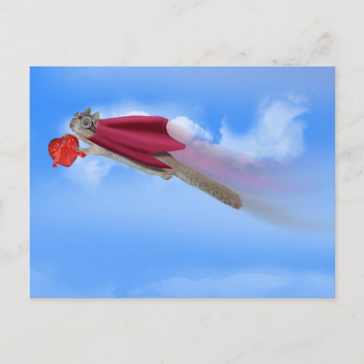 リスすごいバレンタイン配信サービス シーズンポストカード (正面)