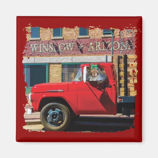 リスだ、殿 マグネット (正面)