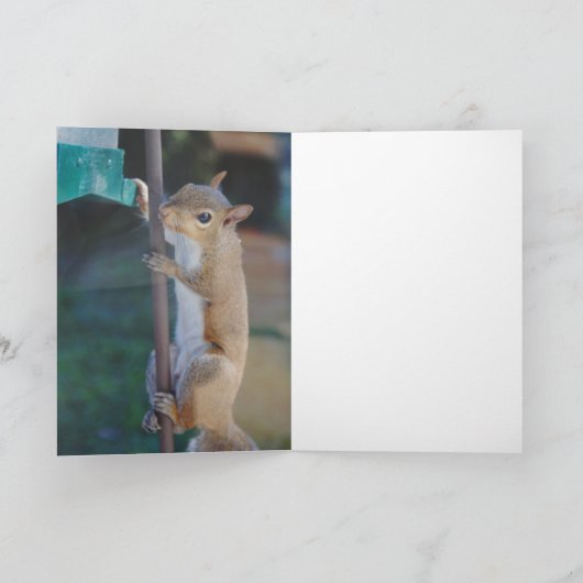 リスつるルの中に カード (内部)