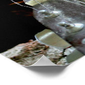 リスとギター ポスター (角)