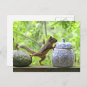 リスとクッキーの瓶 ポストカード (正面/裏面)