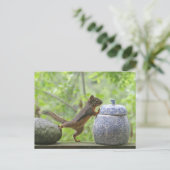 リスとクッキージャー ポストカード (スタンド正面)