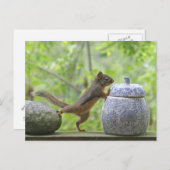 リスとクッキージャー ポストカード (正面/裏面)