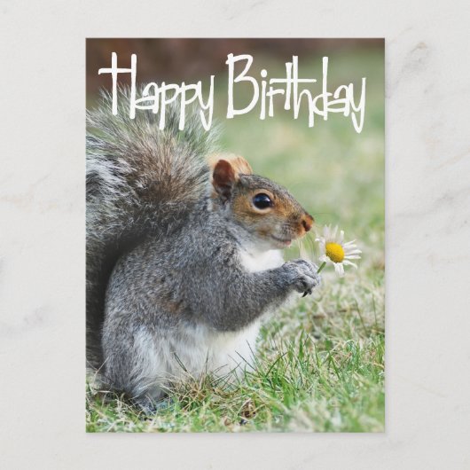 リスとデイジーハッピーバースデーはがき ポストカード (正面)
