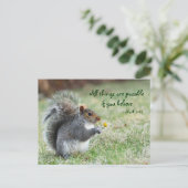 リスとデイジーマーク9:23 Verse ポストカード (スタンド正面)