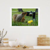 リスと彼のカメラ ポスター (キッチン)