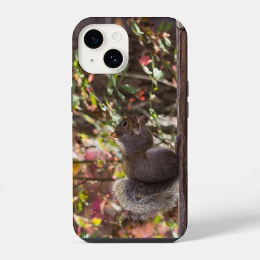 リスにエサやり iPhone カーケース iPhoneケース (裏面)