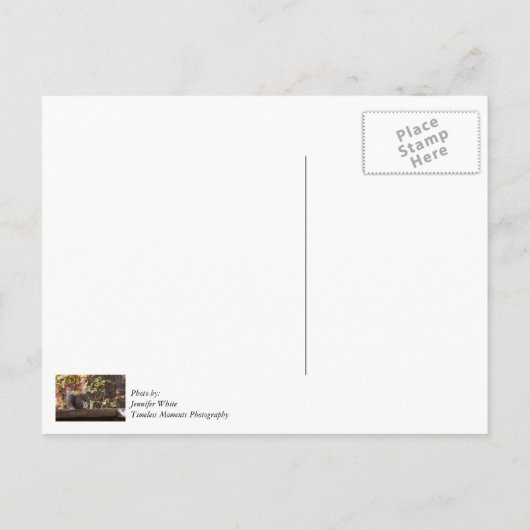 リスにエサをあげる時間の感謝カード ポストカード (裏面)