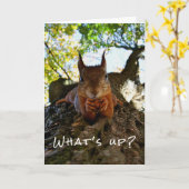 リスのかわいい動物の挨拶 Funny Squirrel Cute Animals Hello The カード (黄色い花)