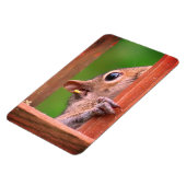 リスのぞき マグネット (左側)