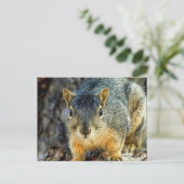 リスのはがき ポストカード (スタンド正面)