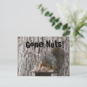 リスのはがき ポストカード (スタンド正面)