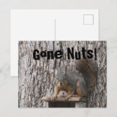 リスのはがき ポストカード (正面/裏面)