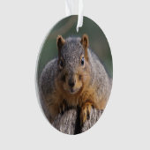リスのオーナメント オーナメント (正面)