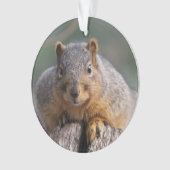 リスのオーナメント オーナメント (正面)