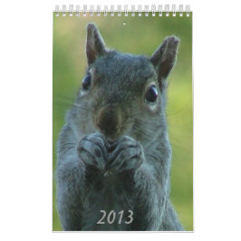 リスのカレンダー2013年 カレンダー