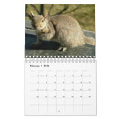 リスのカレンダー2016年 カレンダー (2月 2026)