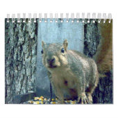 リスのカレンダー カレンダー (カバー)