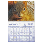 リスのカレンダー カレンダー (1月 2026)