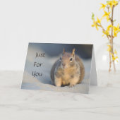 リスのカードのためだけに カード (黄色い花)